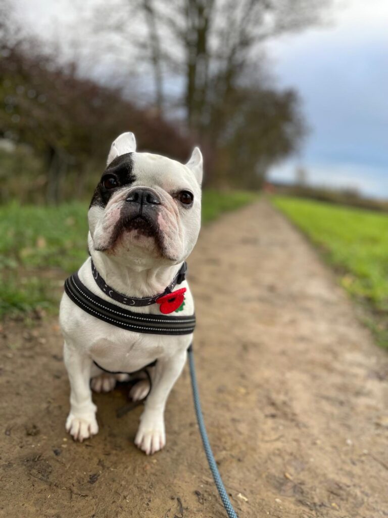 589595705_1370381311541678_5730518550587793090_n