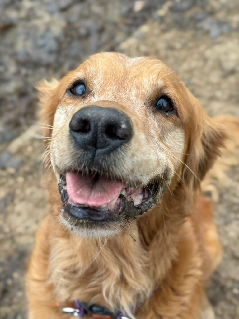 593724935_1373299457916530_5296898965493674577_n