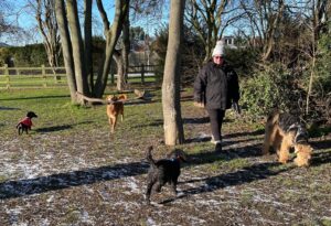 animal care in Market Harborough