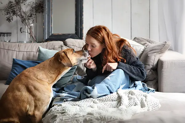 doggie day care Market Harborough